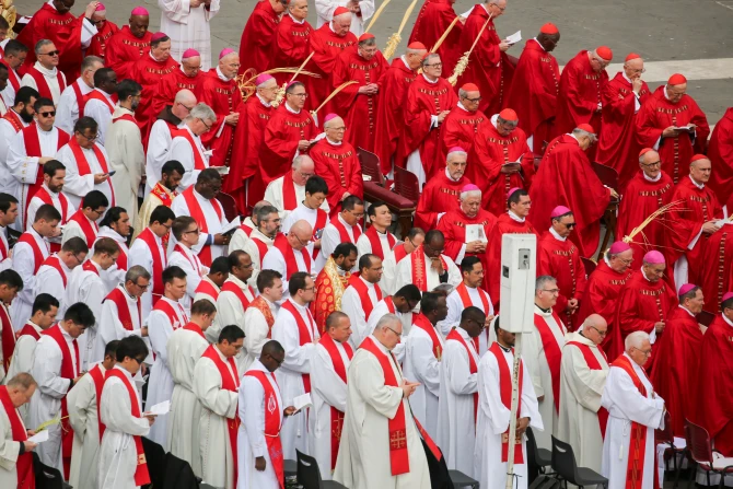 Cardinals, bishops, and priests carrying palm branches gather for the Palm Sunday Mass