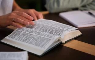 This year the complete translation into Tzotzil, spoken by approximately 350,000 people, has been achieved. Credit: Freepik