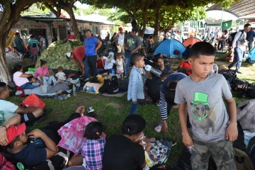 migrants