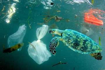 ocean plastic