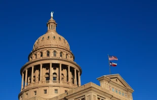 The Texas State Capitol in Austin. Credit: Gang Liu/Shutterstock