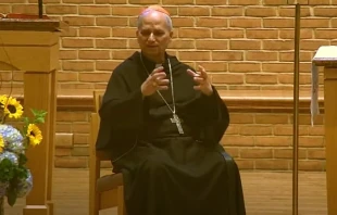 Then-Cardinal Robert Prevost speaking at St. Jude Catholic Church in New Lenox, Illinois, on Aug. 7, 2024. Credit: Courtesy of St. Jude Catholic Church in New Lenox, Illinois