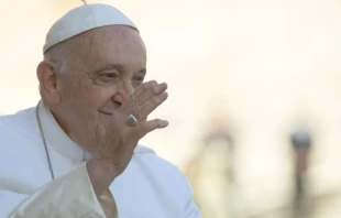 Pope Francis during a general audience. Credit: Daniel Ibáñez/EWTN News