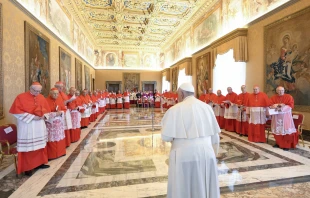 Pope Francis meets with the College of Cardinals on July 1, 2024. Credit: Vatican Media